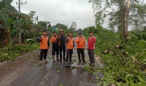 IMG-20250412-WA0032
