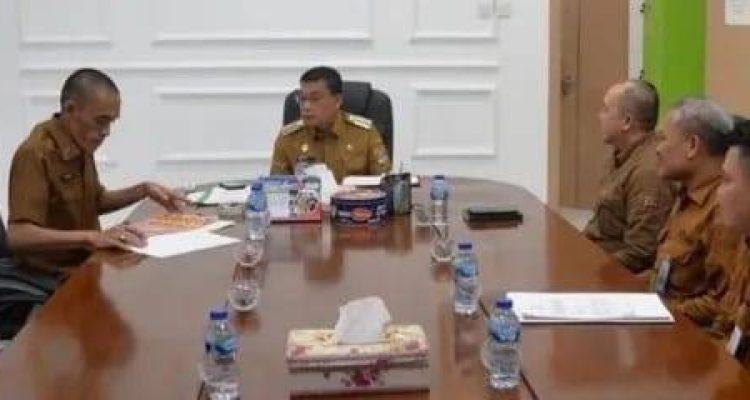 WhatsApp Image 2026-03-01 at 21.42.33